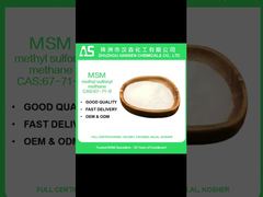 Poudre de MSM